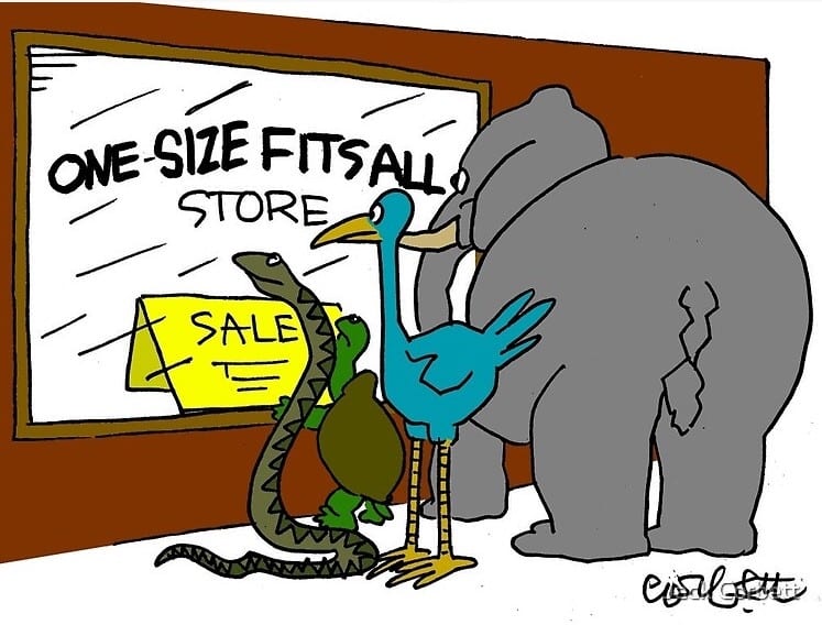 A humorous cartoon of a gray elephant, tall blue bird, green and brown turtle, and green snake standing in front of the "One Size Fits All Store" which has a Sale sign in the window.