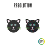 Resolution. Two black cat faces, one clear and one fuzzy.